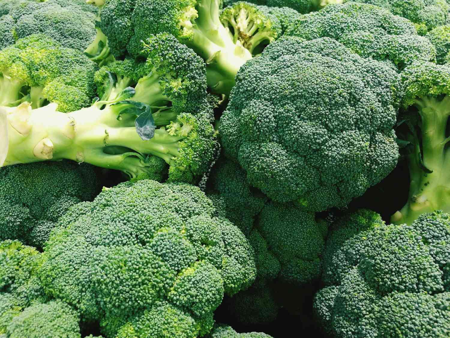 Manfaat Brokoli bagi Penderita Diabetes - Featured Image