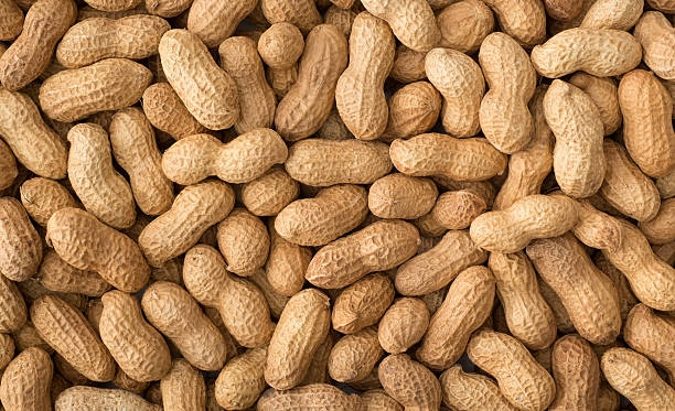 Manfaat Kacang: Lebih Baik Mana? Kacang Goreng atau Kacang Panggang? - Featured Image
