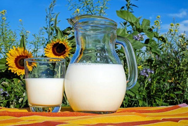 minum susu
