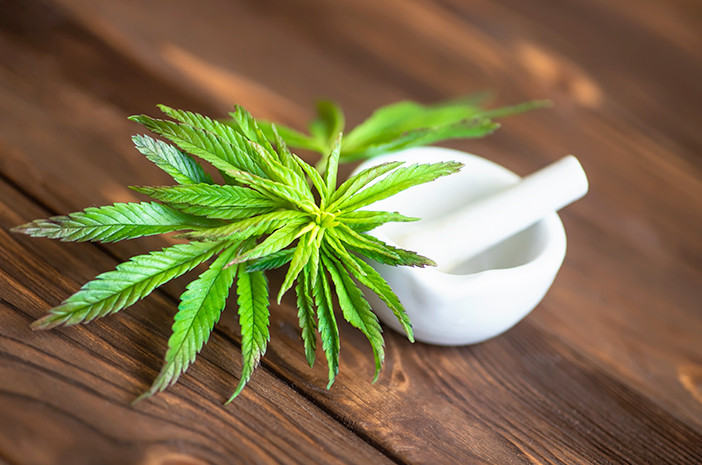 manfaat daun marijuana